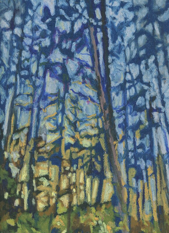 forest at sunset arabella young bella artist sidney forest trees pastels