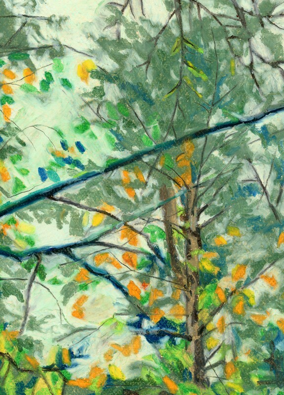 through the branches art pastel card print arabella young cost buy local sidney victoria bc