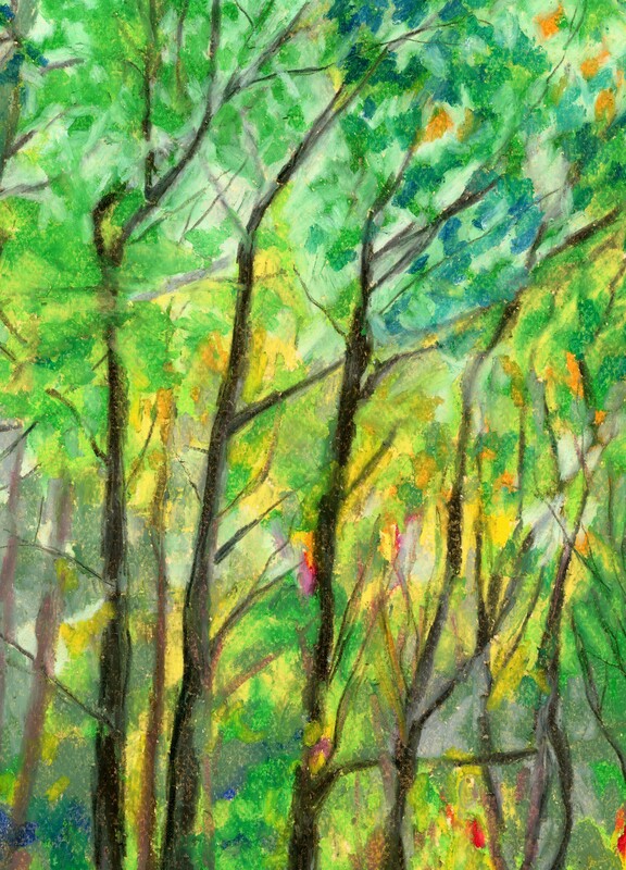 warm light cool trees forest art pastels piece print for sale card mindful activity