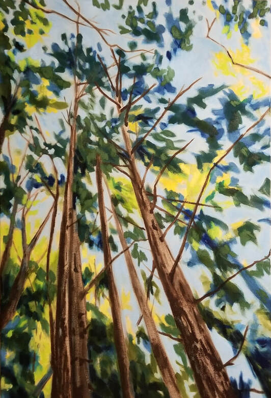 arabella young trees painting oil pastels local commission design westcoast artist