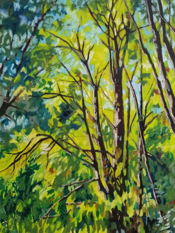 westcoast artist forest series arabella young green leaves light expectations victoria bc sidney